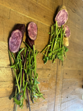 Purple Sweet Potato Slips Variety Set – 10 Molokai + 10 Okinawa Slips – Live Sweet Potato Vine Cuttings