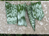 Sansevieria Snake Plant Leaf Cuttings – 6 Hawaii Grown Starter Cuttings for Indoor Houseplant Propagation