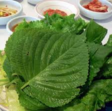 400 Seeds Perilla (Shiso), Korean Perilla Herb for Planting – Aromatic, Versatile Asian Herb for Sushi, Garnishes, Stir-Fries & More