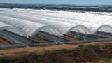 Bootstrap Farmer Greenhouse Woven Plastic 8 mil- Solarig 156