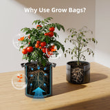 Spider Farmer 5 Gallon 300G Thickened Nonwoven Fabric Grow Bag