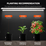 Spider Farmer Glow80 80W Full Spectrum LED Grow Light