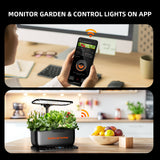 Spider Farmer Hydroponics Growing System