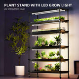Spider Farmer 6 Tier Plant Stand + 10 x 22W LED Lights Bars + 1' 4" x 3' 8" Grow Tent Kit
