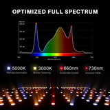 Spider Farmer SF1000 LED Grow Light + 2' x 2' Grow Tent + Inline Fan