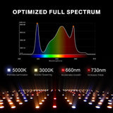 Spider Farmer SF2000 LED Grow Light + 2' x 4' Grow Tent + Inline Fan