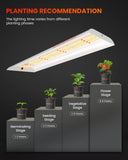 Spider Farmer SF300 33W LED Veg Grow Light