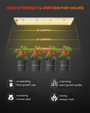 Spider Farmer SF300 33W LED Veg Grow Light