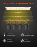 Spider Farmer SF600 74W LED Veg Grow Light