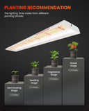 Spider Farmer SF600 74W LED Veg Grow Light
