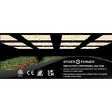 Spider Farmer SF7000 650W Dimmable Full Spectrum LED Grow Light
