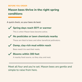 Spring Mason Bees (40ct)