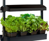 Sunblaster Micro T5 Grow Light Garden Black