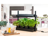 Sunblaster Micro T5 Grow Light Garden Black