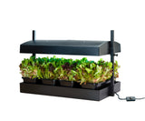 Sunblaster T5 Grow Light Garden Black