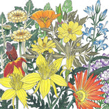 Mediterranean Dryland Wildflower Mix (pack)