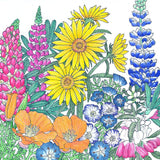Regional Northwest Native Wildflower Mix (pack)