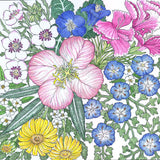 Regional Southwest Native Wildflower Mix (pack)