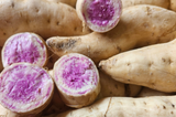 Okinawa Purple & Beauregard Sweet Potato Cuttings, 5 Each, Ipomoea batatas, for Planting