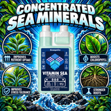 Vitamin Sea – Magnesium & Micronutrient Concentrate