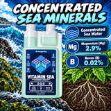 Vitamin Sea – Magnesium & Micronutrient Concentrate