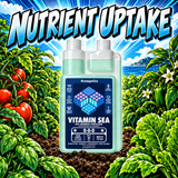 Vitamin Sea – Magnesium & Micronutrient Concentrate