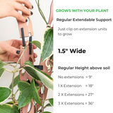Zella - Wooden Extendable Plant Support