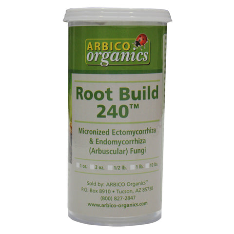 Root Build 240 - 10 lbs.