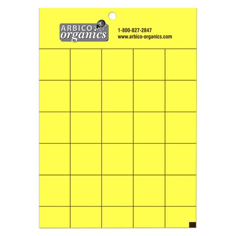 AO Yellow Pest Insect Traps - 5" x 7" - 10 pk