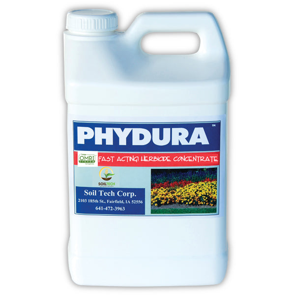 Phydura