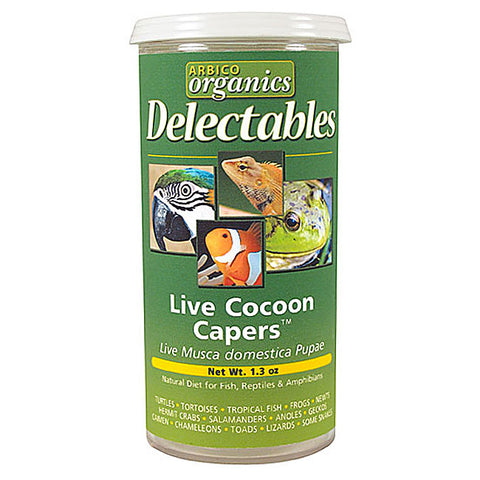 LIVE Cocoon Capers - 1.3 oz