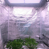 FOCUS LITE FCS-G300W