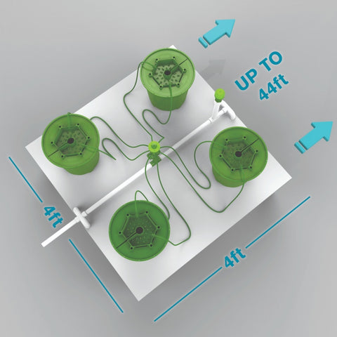 4 PLANTS PER 4'X4' - 5 GALLON POTPRO W/ BUBBLER/FLORACAP IRRIGATION (4'x8')