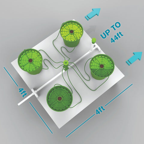 4 PLANTS PER 4'X4' - 5 GALLON POTPRO W/ BUBBLER/MATRIX IRRIGATION (4'x40')