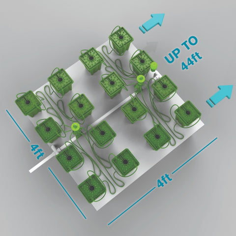 FloraFlex 16 PLANTS PER 4'X4' - 1 GALLON POTPRO W/ BUBBLER/FLORACAP IRRIGATION  (4'x12')