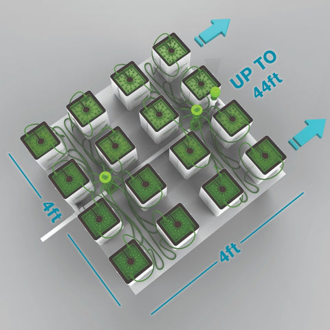 FloraFlex 16 PLANTS PER 4'X4' - 1 GALLON QUICKFILL W/ BUBBLER/FLORACAP IRRIGATION (4'x4')