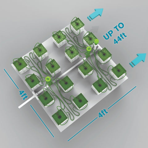 FloraFlex 16 PLANTS PER 4'X4' - 6" ROCKWOOL CUBE W/ BUBBLER/FLORACAP IRRIGATION (4'x28')
