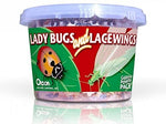 LADYBUGS / GREEN LACEWINGS (500 Live Adult Ladybugs / 1,000 Lacewing Eggs)