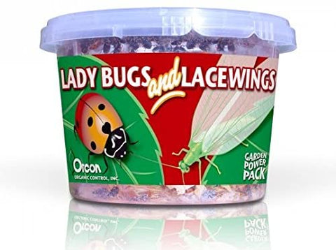 LADYBUGS / GREEN LACEWINGS (500 Live Adult Ladybugs / 1,000 Lacewing Eggs) - Case of 12