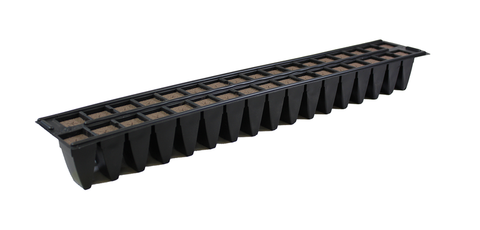 Oasis 34CT WEDGE DOUBLE STRIPS 72/CS (2448) - Pallet of 16 Cases