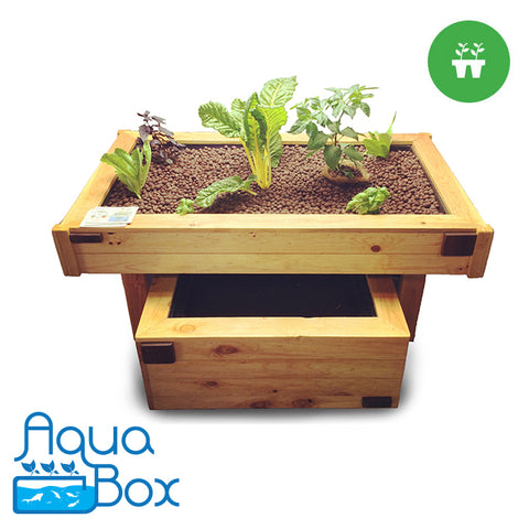 AquaBox Complete Aquaponics Kit – Grow It Depot