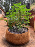 CoirNet  400 Gallon pot (5 Pot bundle)