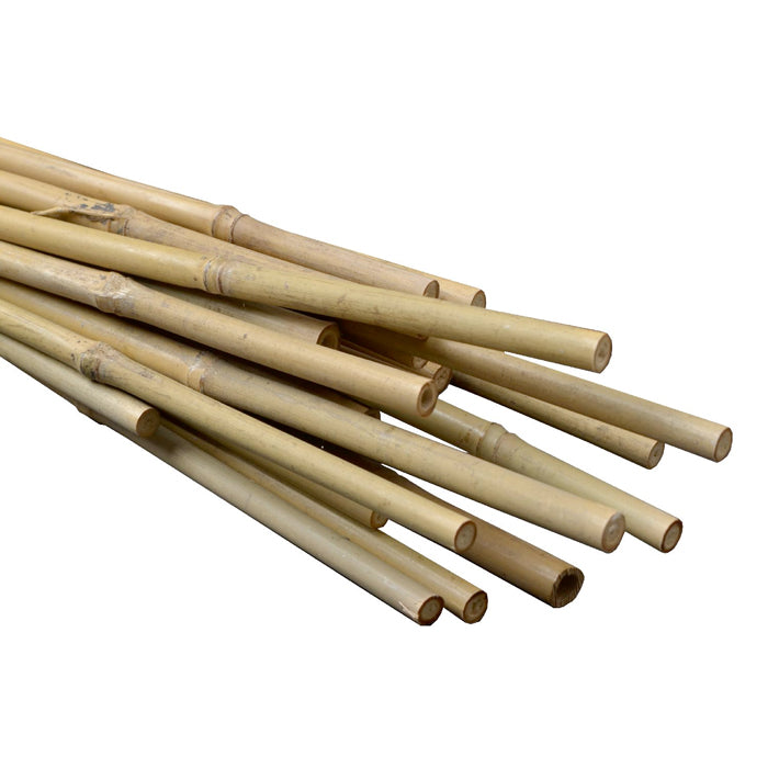 6' 1214MM Natural Bamboo Stakes (100pack) Grow It Depot