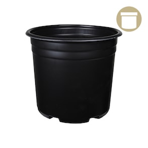 1 Gallon Pot (Black Plastic)