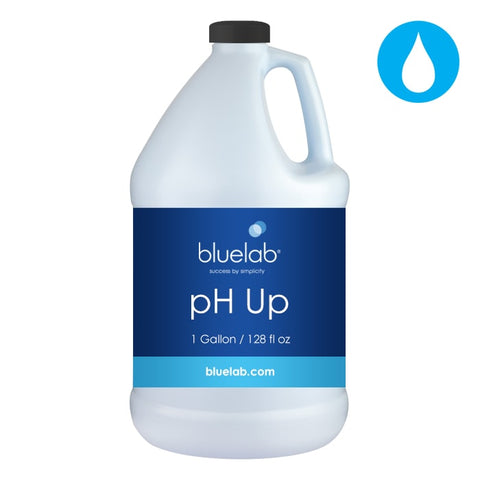 BlueLab pH UP 1 Gal