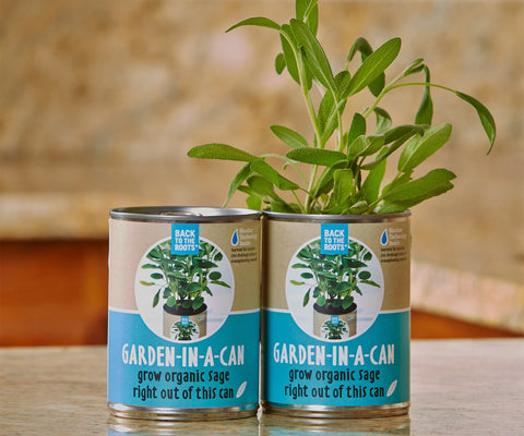 Garden in a Can, Sage