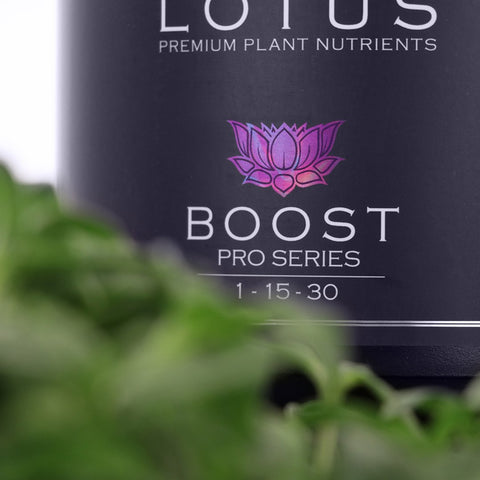 LOTUS Pro Series - BOOST-4104 Ounce