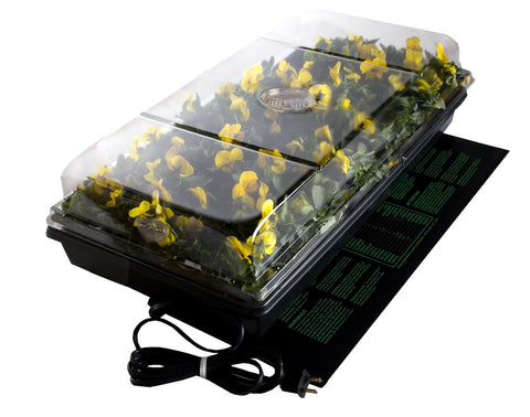 Jump Start Germination Station w/Heat Mat, Tray, 72-Cell Pack, 2" Dome
