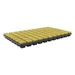 Cultilene rockwool 35 x 35 x 40mm Square 77 Cell Tray (Case of 18 trays)
