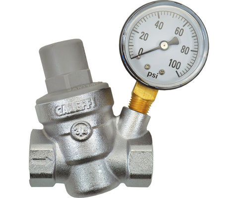 Dilution Solutions Pressure Regulator with Gauge, 3/4 in FPT x FPT